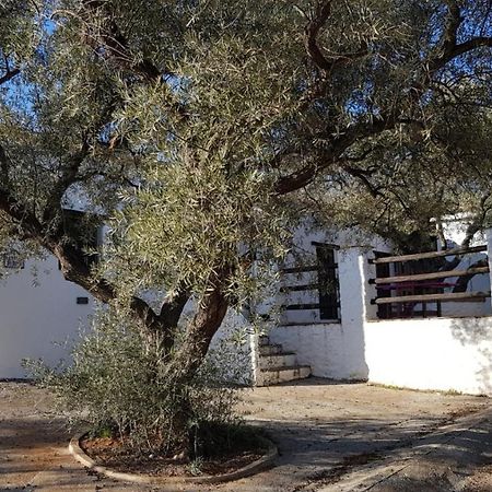 Gateway To The Alpujarras, 'Cortijo Derry' Hotel Orgiva Buitenkant foto