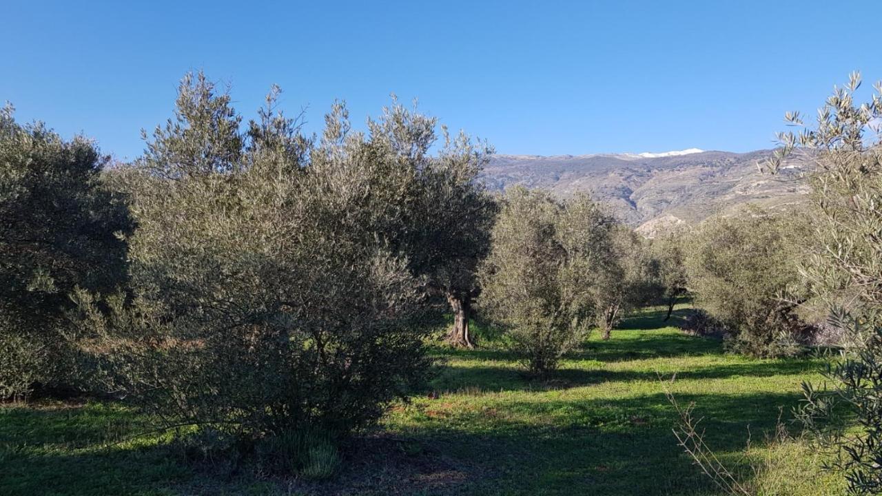 Gateway To The Alpujarras, 'Cortijo Derry' Hotel Orgiva Buitenkant foto