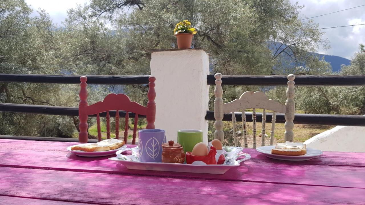 Gateway To The Alpujarras, 'Cortijo Derry' Hotel Orgiva Buitenkant foto