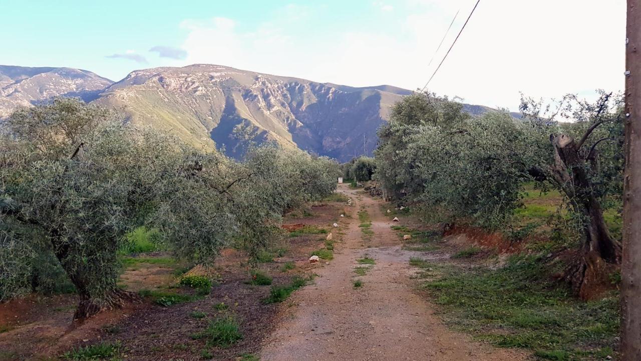 Gateway To The Alpujarras, 'Cortijo Derry' Hotel Orgiva Buitenkant foto