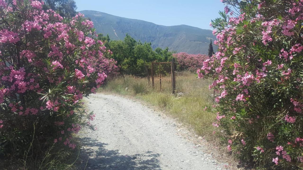 Gateway To The Alpujarras, 'Cortijo Derry' Hotel Orgiva Buitenkant foto
